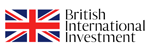 BRITISH INTERNATIONAL INVESTMENT