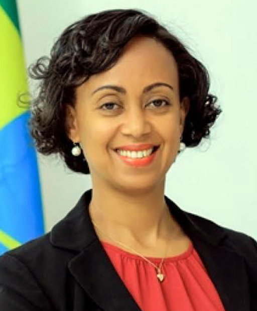 Her Excellency, Dr. Lia Tadesse